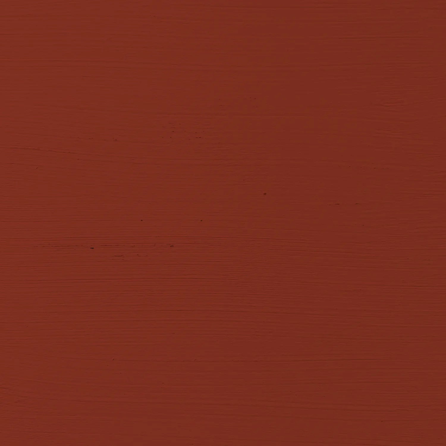 №. 10 — Immanuel Kant Rot