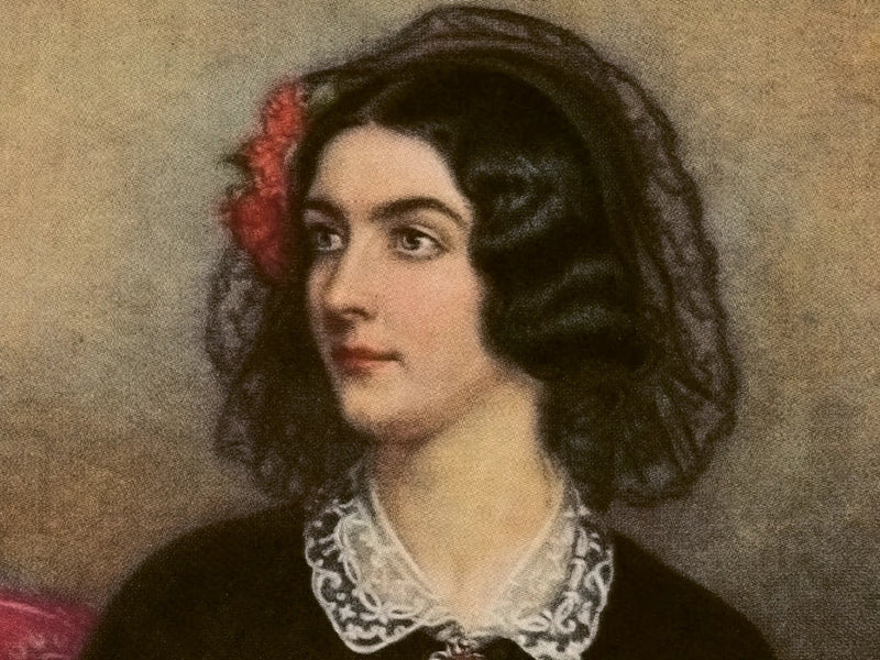 №. 11 — Lola Montez Rot Bild 1