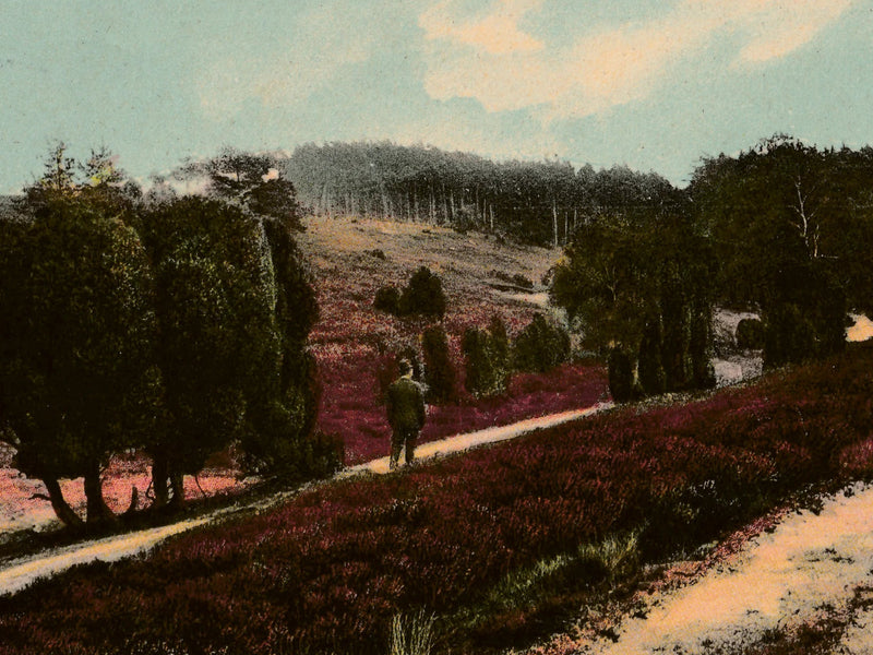 №. 15 — Bargfeld Blau Bild 1