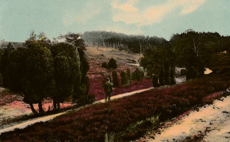 №. 15 — Bargfeld Blau Bild 1